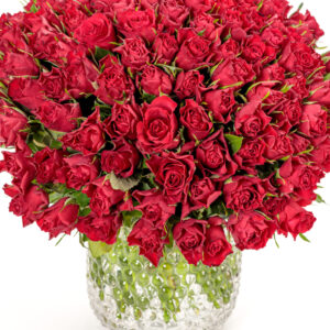50 Red Roses